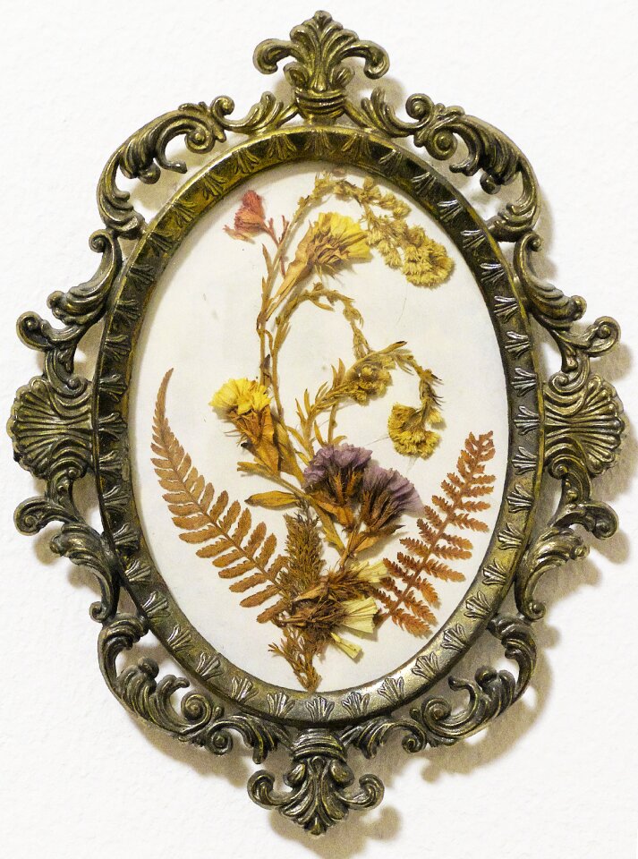 Dried flowers metal frame behind glass