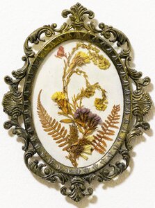 Dried flowers metal frame behind glass
