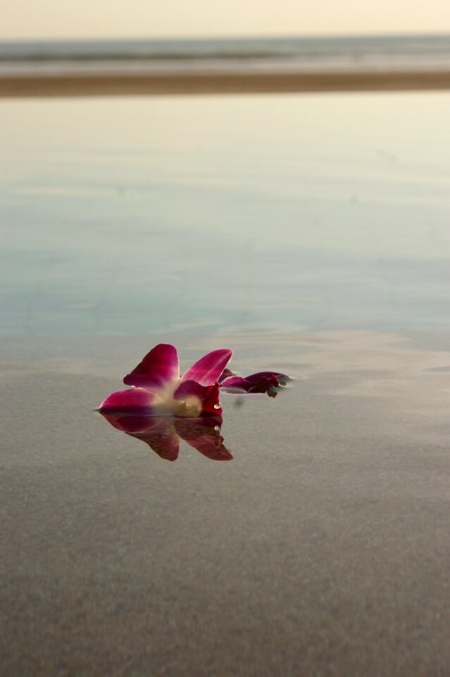 Travel sea android wallpaper