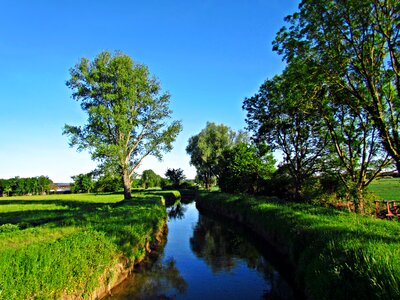 Field meadow landscape photo