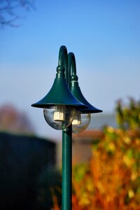 Garden green ornament