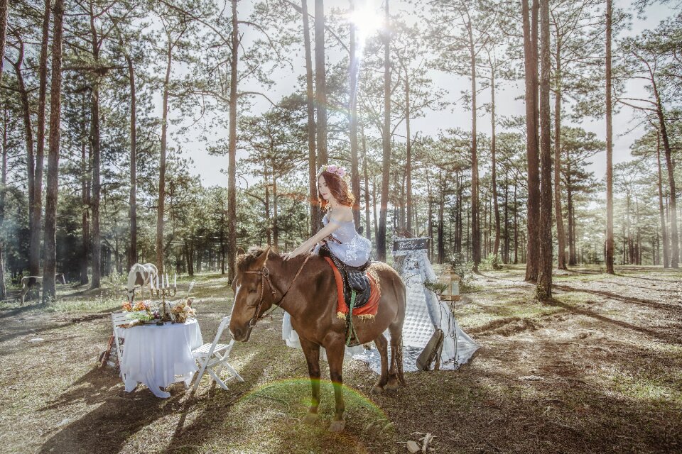 Wedding photo picture vietnam