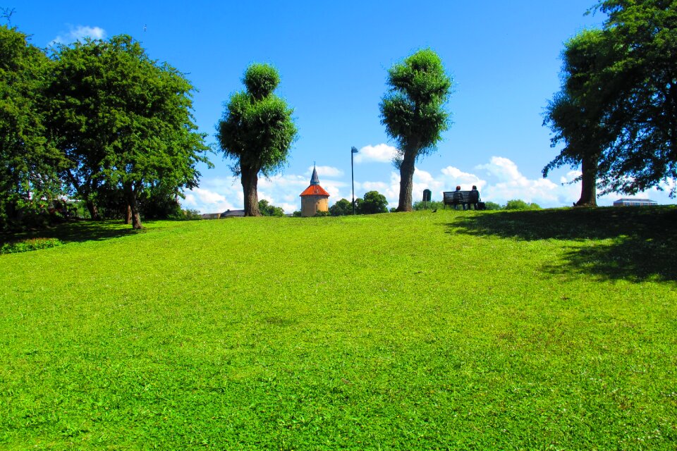 Park water green