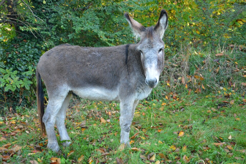 Good looking soft friendly