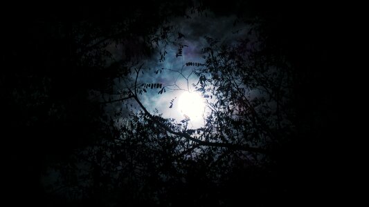 Dark night moon photo