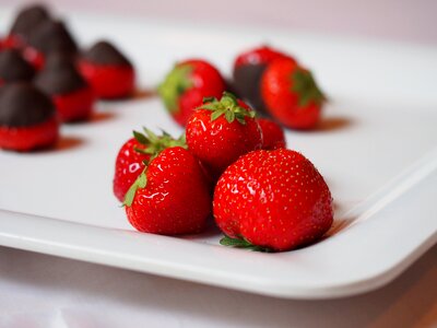 Dessert chocolate strawberry cake photo