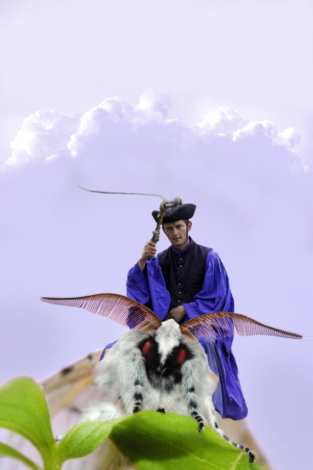 Reiter flutter man fantasy