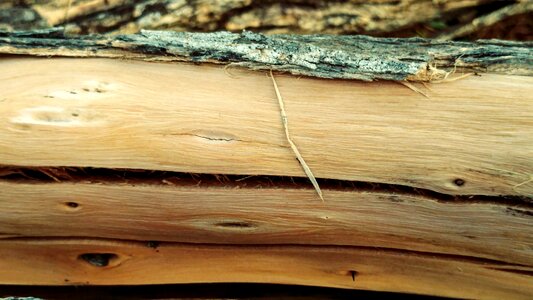 Lumber cracked textures photo