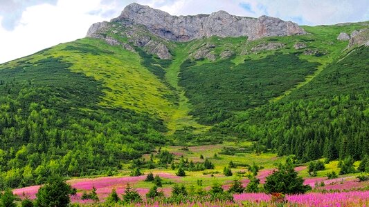 Nature mountains top photo