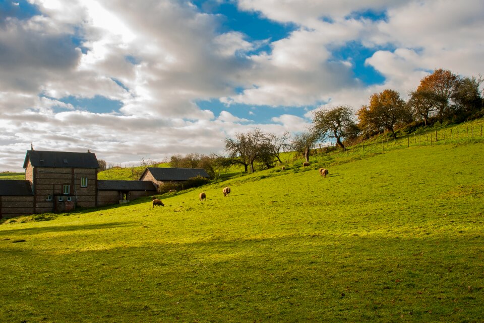 Sheepfold nature landscape