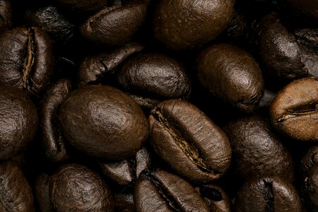 Coffee beans roasting brown photo