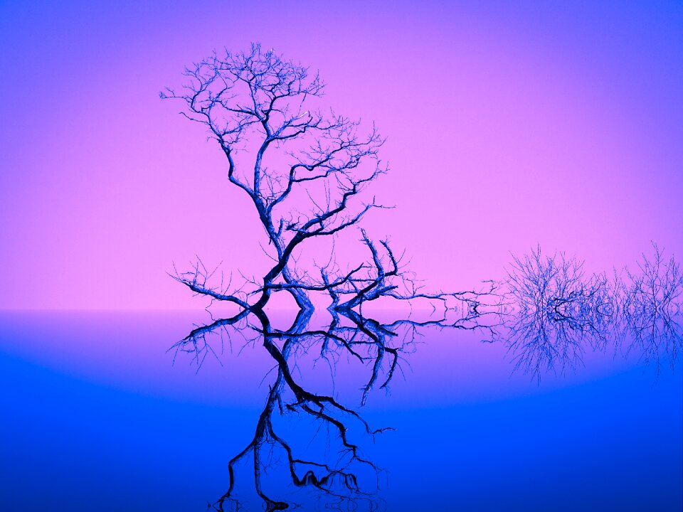 Blue artistically art