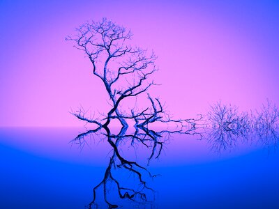 Blue artistically art