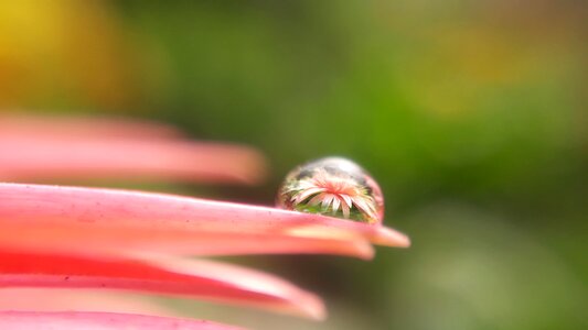 Closeup macro water drop reflection