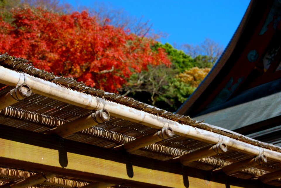 Asia travel autumn