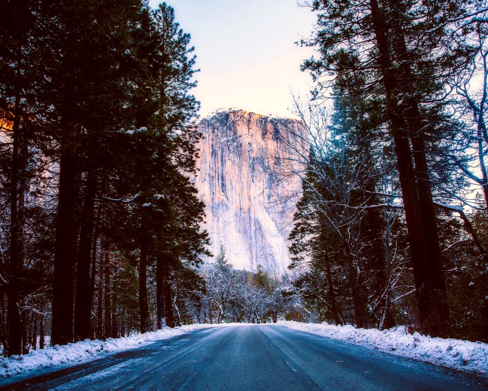 Mountains road forest