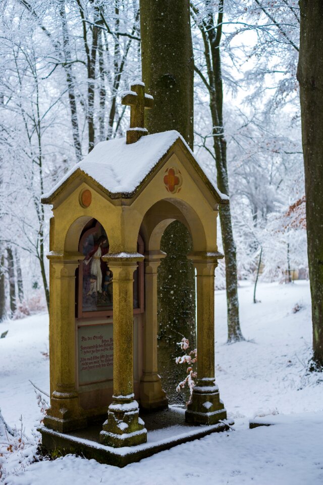 Wood winter wintry