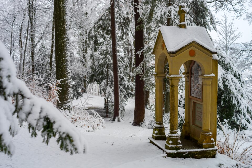 Wood winter wintry