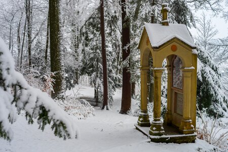 Wood winter wintry photo