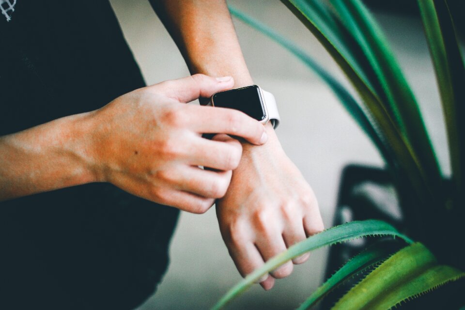 Watch accessories time