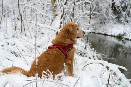 Winter cold nature