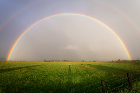 Farm grass fences photo