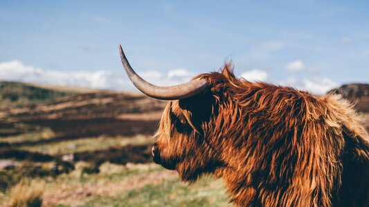 Landscape horn nature photo