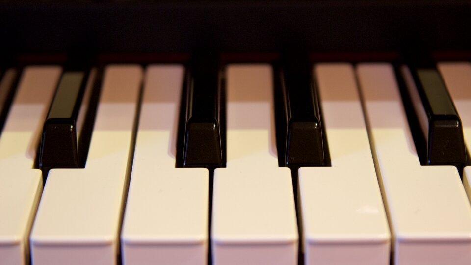 Musical instrument piano keys instrument