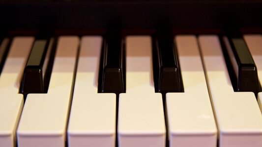 Musical instrument piano keys instrument photo