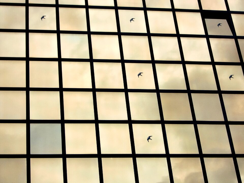 Architecture disc glass facade