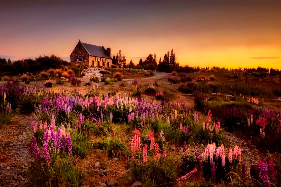 Cottage landscape flowers