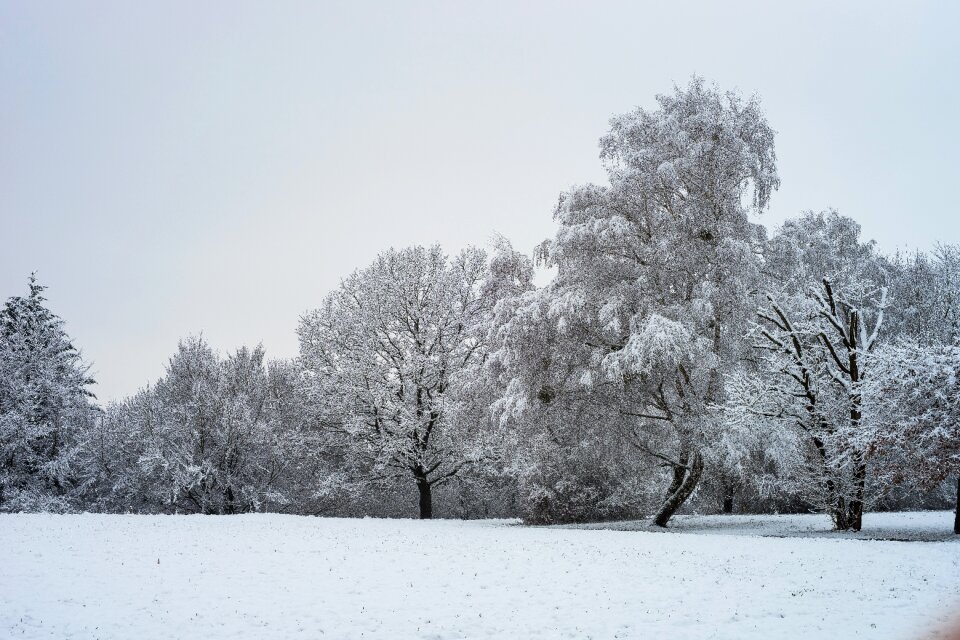 Cold landscape wintry