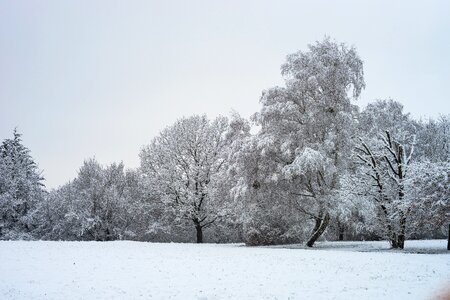 Cold landscape wintry photo