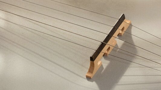 Macro fret brown guitar