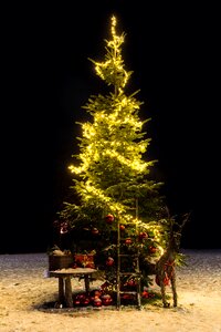 Fir tree christmas time lichterkette photo