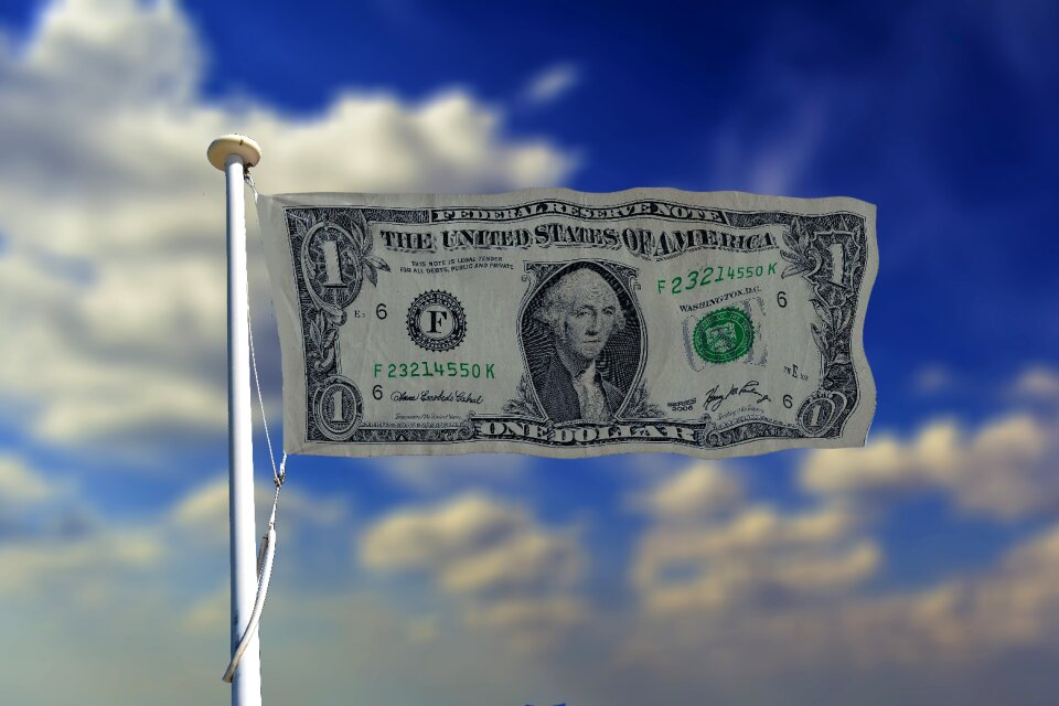 Flag dollar currency
