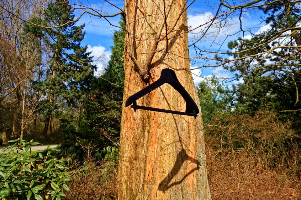 Fashion clothing tree