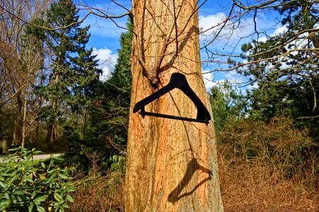 Fashion clothing tree