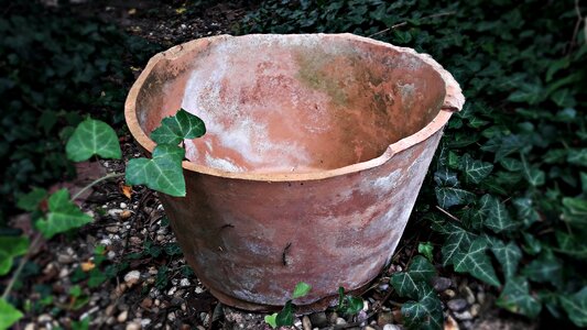 Pot pots garden photo