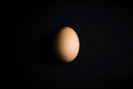 Shell black egg black eggs