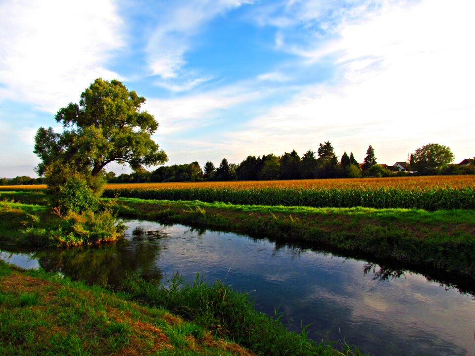 Field sky nature