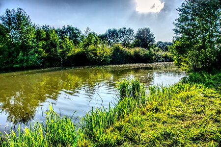 Reflection nature summer photo