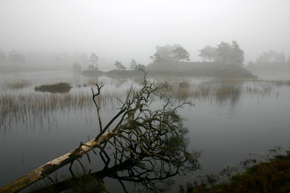 Landscape no person natural