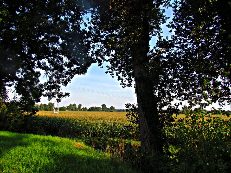 Nature landscape spring