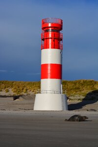 Helgoland dune nature