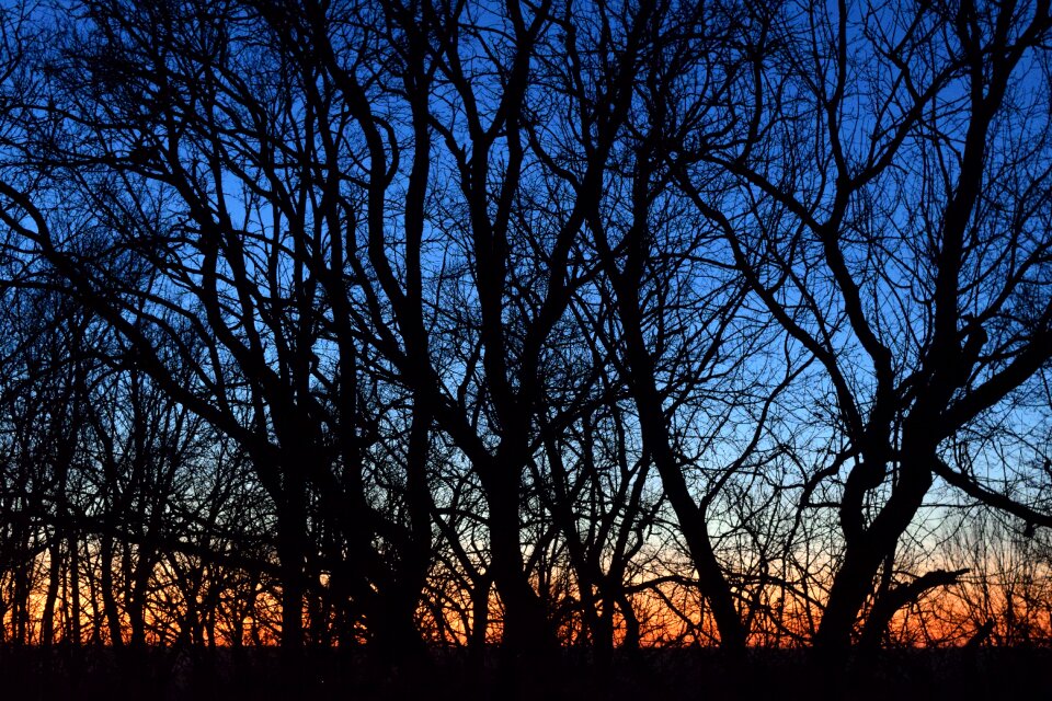 Wood season sunset