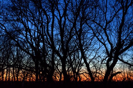 Wood season sunset