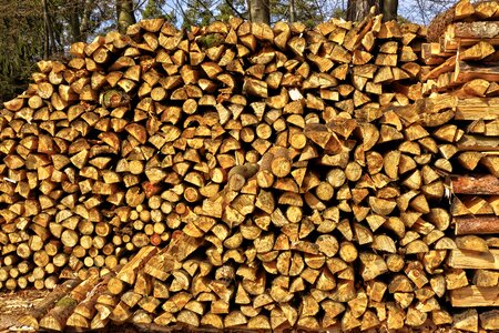Wood for the fireplace pile background photo