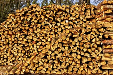 Wood for the fireplace pile background