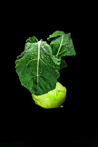 Kohlrabi fresh healthy